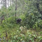 FISCALÍA LOCALIZA A MENORES EXTRAVIADOS