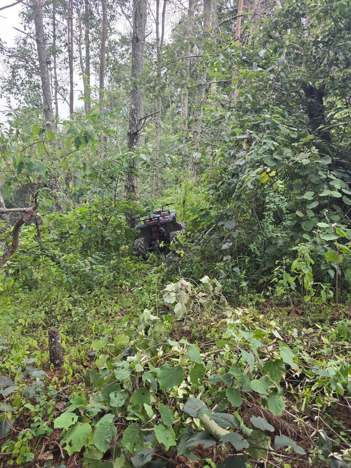 FISCALÍA LOCALIZA A MENORES EXTRAVIADOS