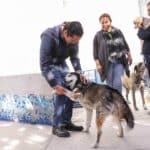 ARRANCA SEGUNDA CAMPAÑA DE ESTERILIZACIÓN PARA MASCOTAS