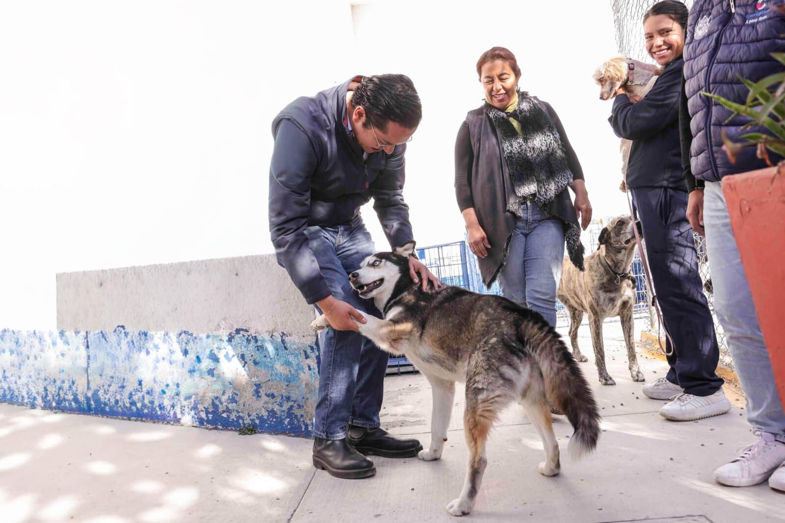 ARRANCA SEGUNDA CAMPAÑA DE ESTERILIZACIÓN PARA MASCOTAS