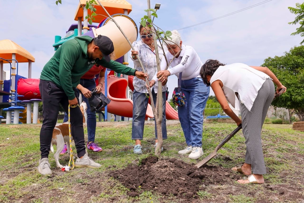 CORREGIDORA PLANTA ÁRBOLES EN ESPACIOS PÚBLICOS