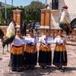 LISTO EL MARQUÉS PARA EL GALLO MONUMENTAL 2026