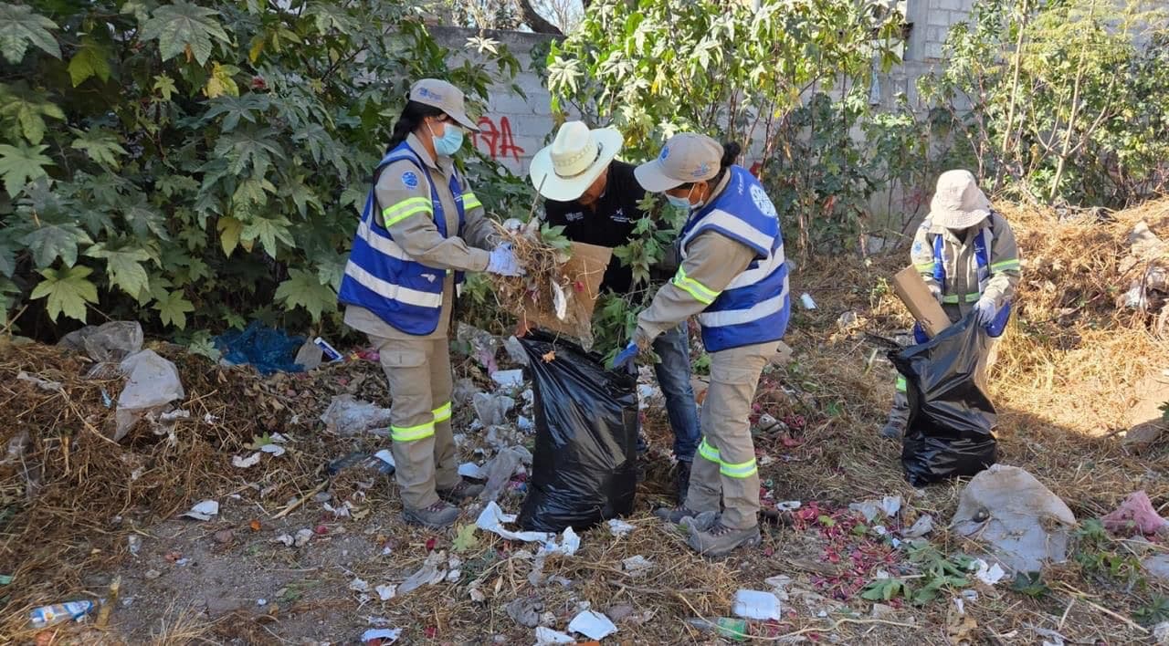 EL MARQUÉS REALIZA JORNADA DE LIMPIEZA