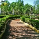 AVANZA DECLARATORIA DE PARQUE ALCANFORES