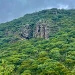 HABRÁ PROTECCIÓN TOTAL A ÁREAS NATURALES EN QUERÉTARO