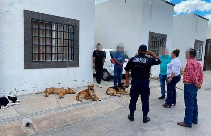 ENVENENAN A 13 PERRITOS CON RATICIDA EN EL EDOMEX