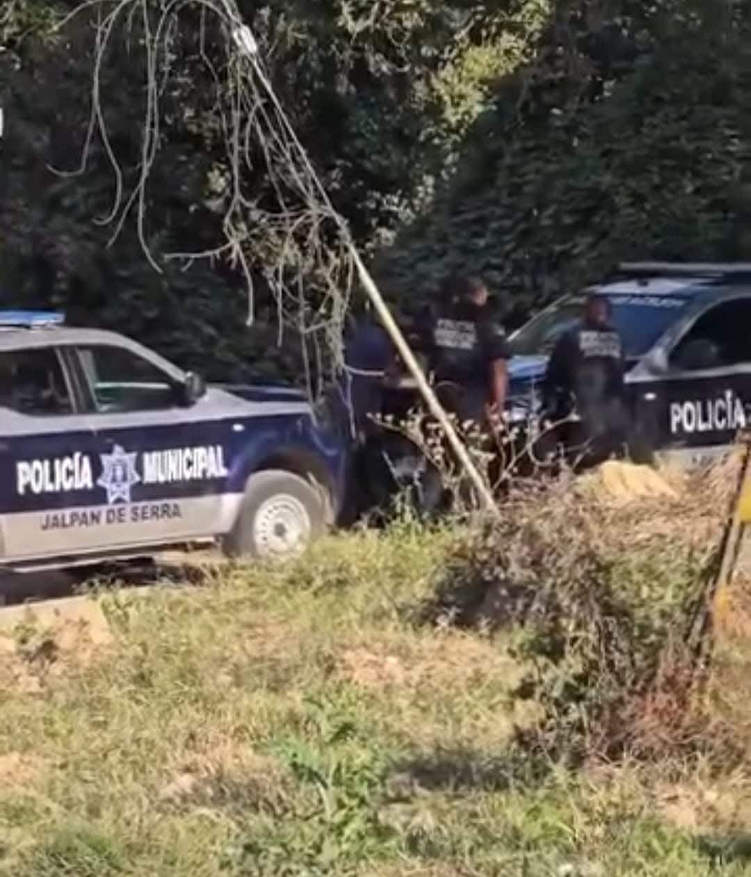 INVESTIGAN HALLAZGO DE RESTOS HUMANOS EN JALPAN