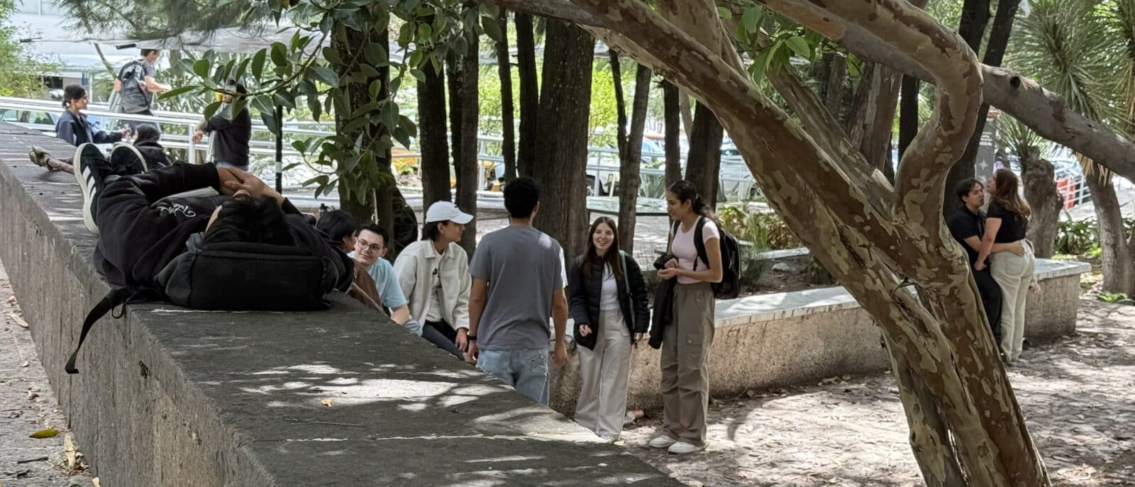 HASTA 50 ATENCIONES DIARIAS POR ESTRÉS