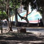 PARQUE ALCANFORES A UNA FIRMA DE SER ZONA PROTEGIDA