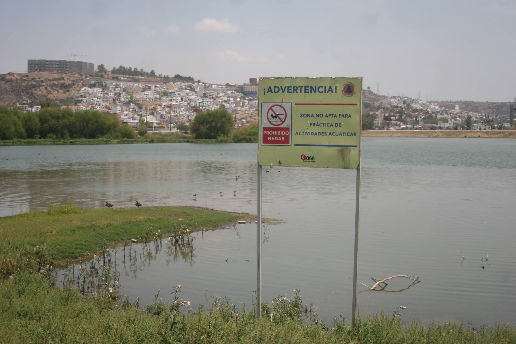 RETIRAN 3 MIL TONELADAS DE LIRIO EN BORDO BENITO JUÁREZ