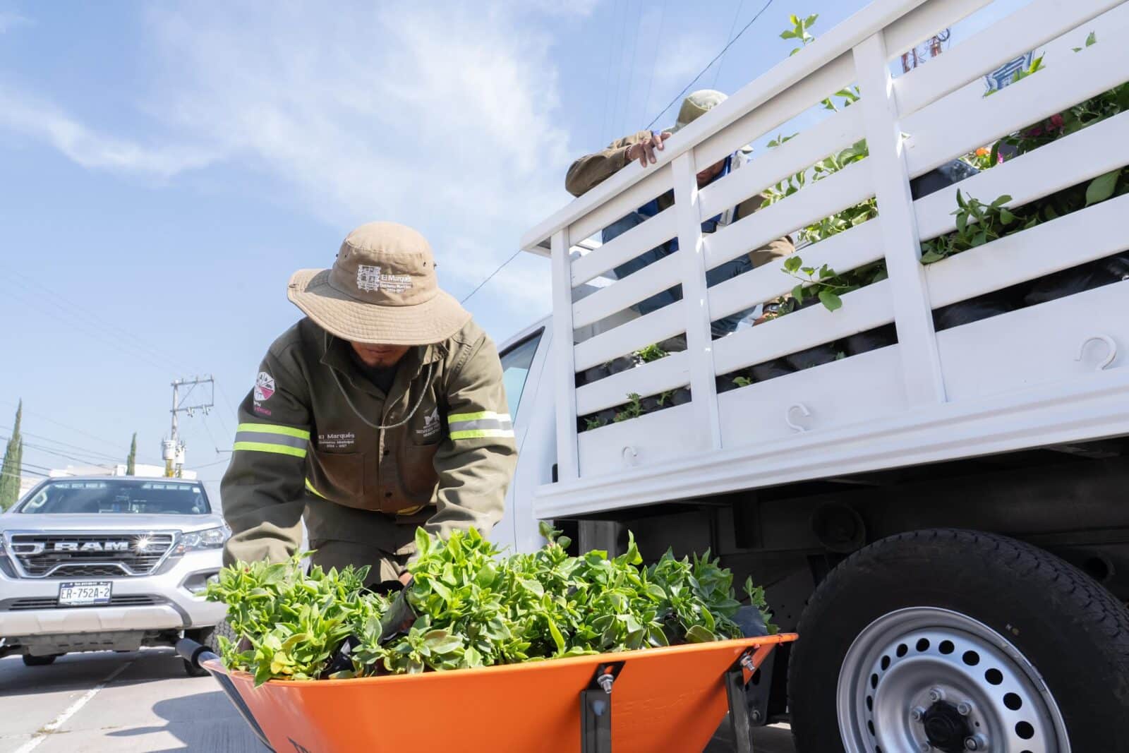 REHABILITA EL MARQUÉS ESPACIOS VERDES