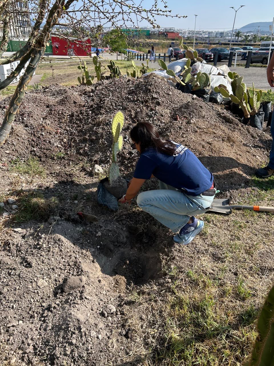 CAPITAL IMPULSA LA RECUPERACIÓN DE ESPACIOS NATURALES